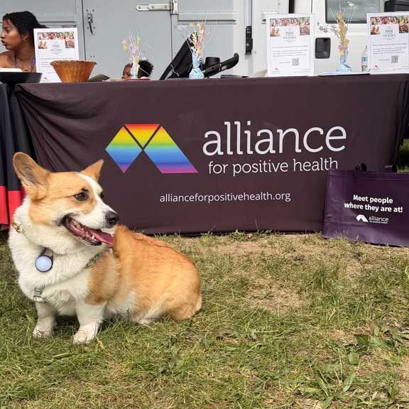 Capital-Pride-2026-dog-web